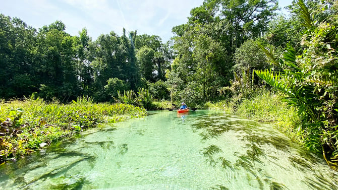 March in Orlando: Discover Florida's Natural Springs